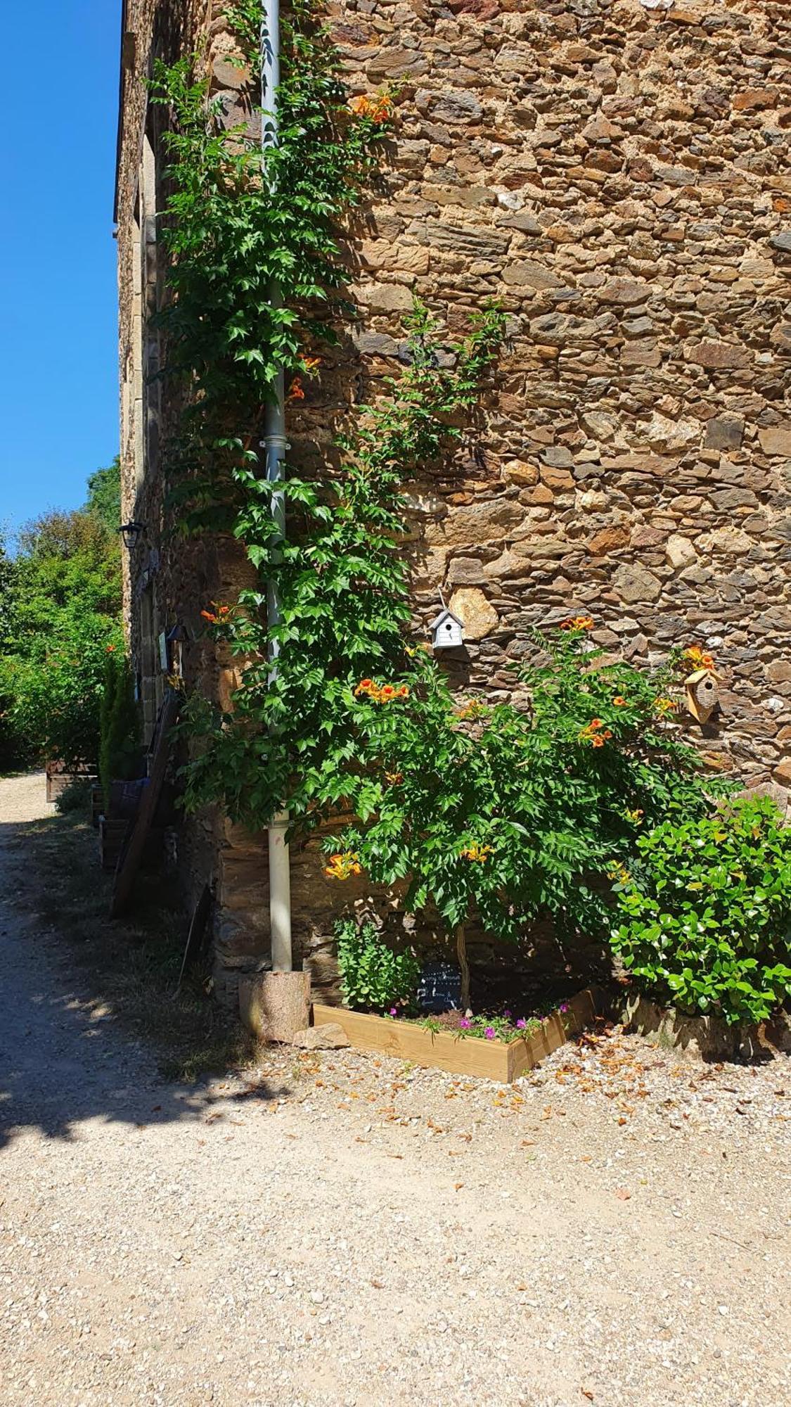 La Ferme Des Andes - Gite L'Atelier Quins Экстерьер фото