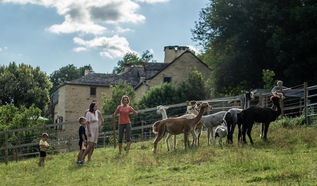 La Ferme Des Andes - Gite L'Atelier Quins Экстерьер фото