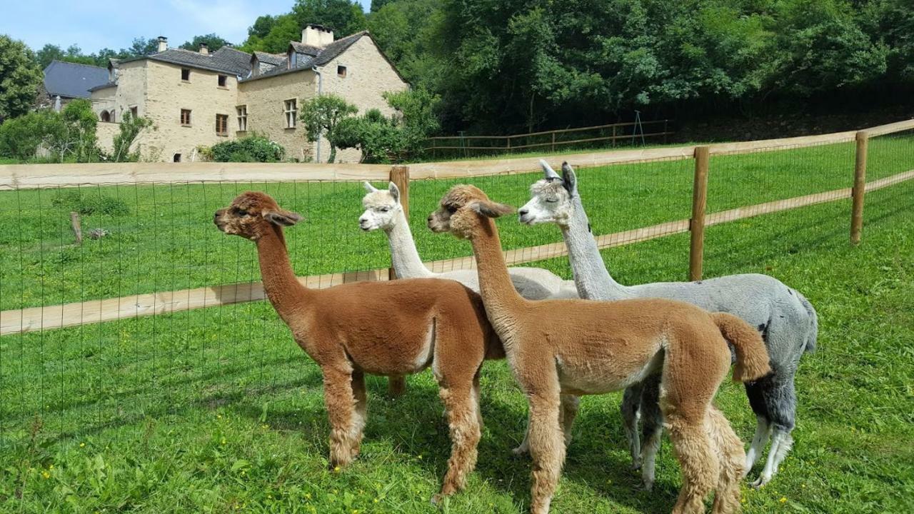 La Ferme Des Andes - Gite L'Atelier Quins Экстерьер фото