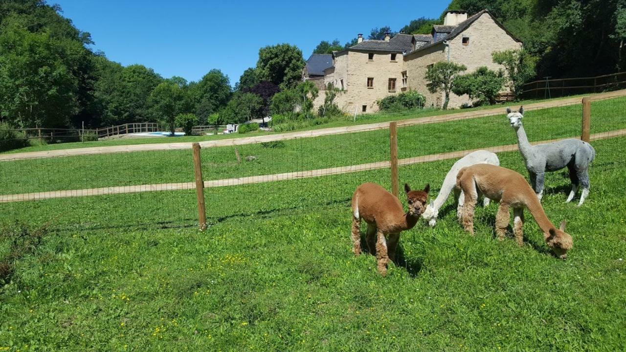 La Ferme Des Andes - Gite L'Atelier Quins Экстерьер фото