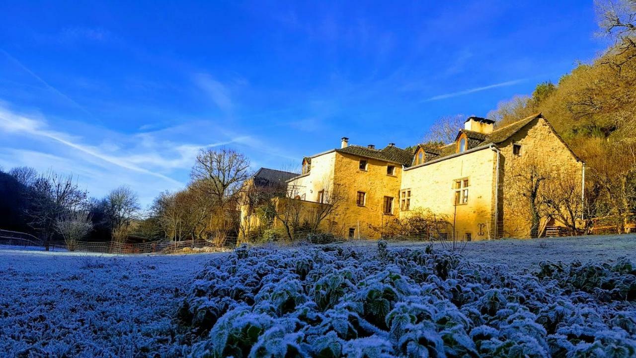 La Ferme Des Andes - Gite L'Atelier Quins Экстерьер фото