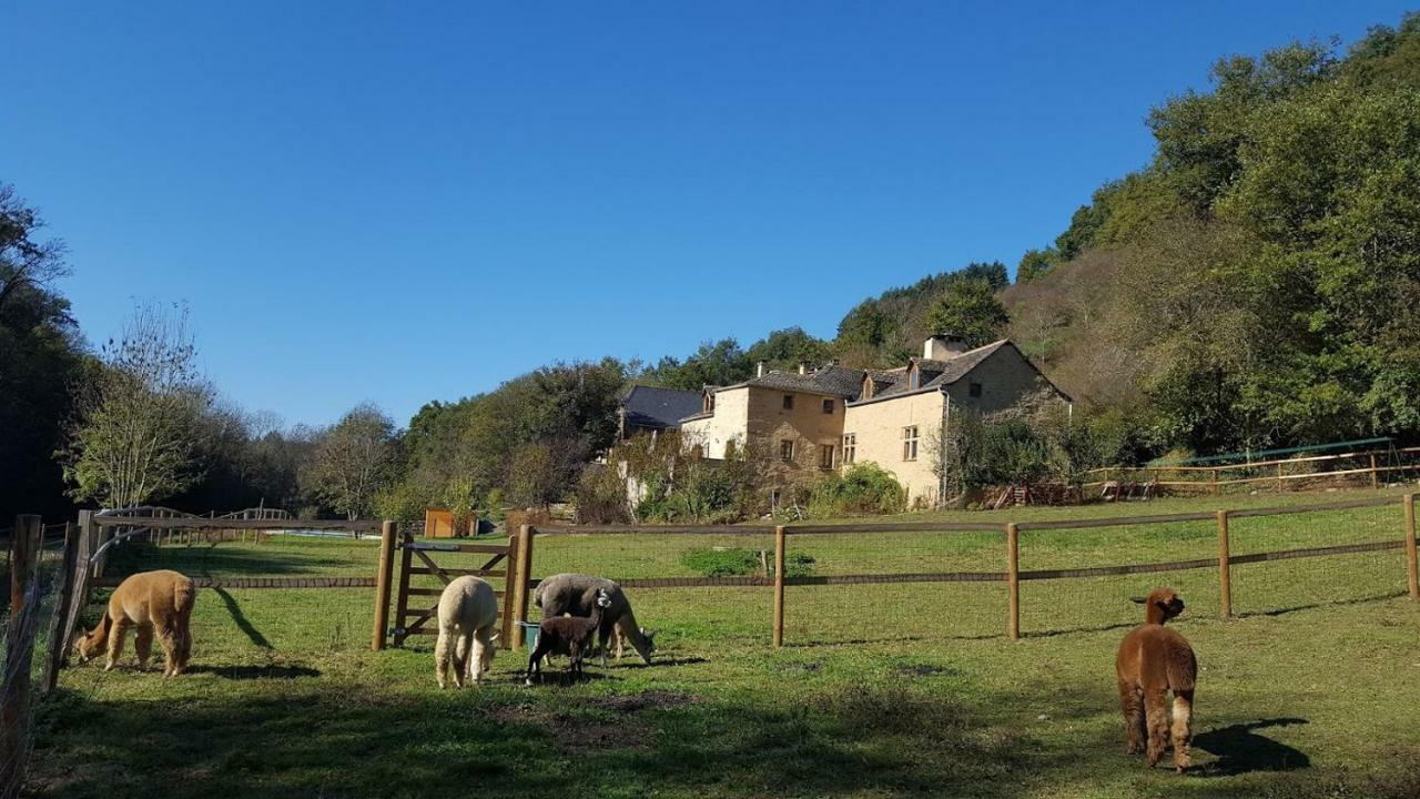 La Ferme Des Andes - Gite L'Atelier Quins Экстерьер фото